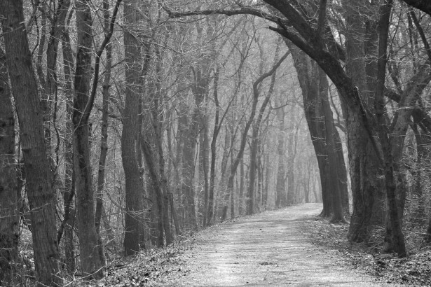 haunted-path